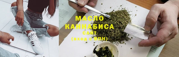 дмт Бородино