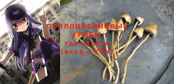 мескалин Верея