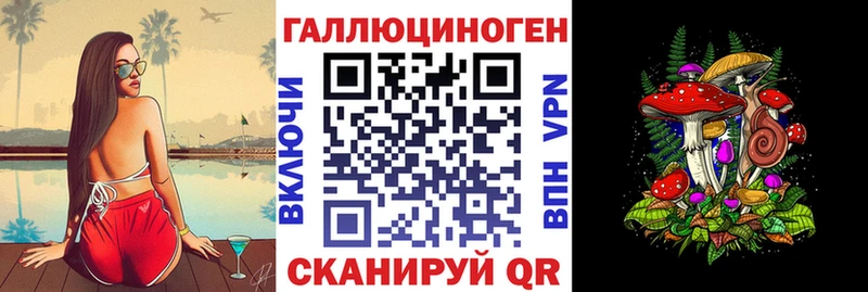 Псилоцибиновые грибы Psilocybine cubensis  Волхов 