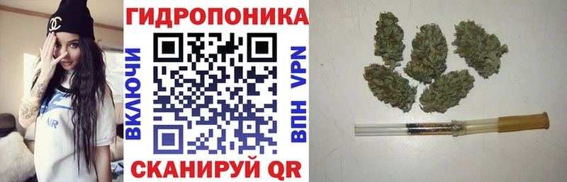 hydra зеркало  Волхов  Бошки Шишки сатива 